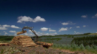 Imagen de ¿Cómo lo hacen?: Ep.5 - 6