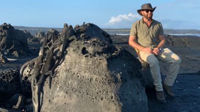 Extinct or Alive: El legendario león del Cabo