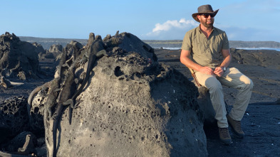 Extinct or Alive: La foca monje del Caribe