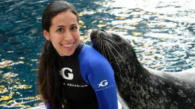 The Aquarium (T1): Rescate de una nutria bebé