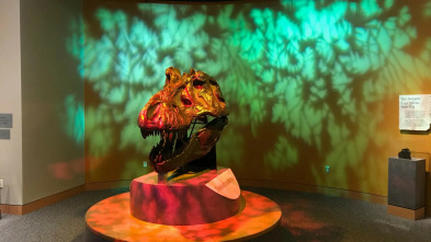 Imagen de Misterios en el museo: Premonición presidencial - 5