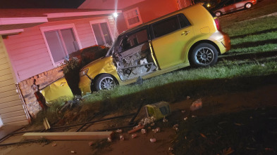 Imagen de Crímenes virales: ¿Quién soltó a los perros? - 5