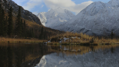 Imagen de Construyendo Alaska (T11): Necesito cinco manos - 5