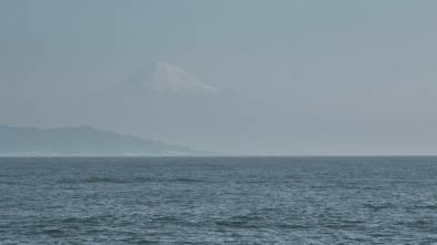 Imagen de Jurassic Sharks - 3