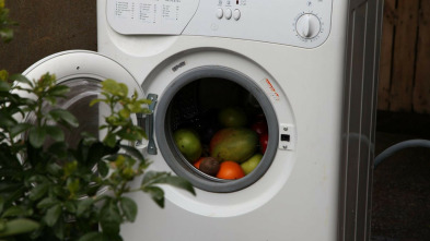 Imagen de Te lo dije (T5): Alucinante - 3