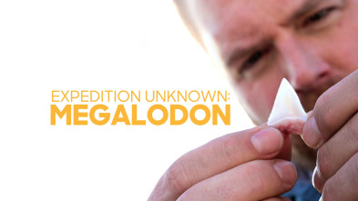 Imagen de Expedición al pasado: Megalodón  - 3