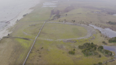 Imagen de Tesoros al descubierto: El misterio del asesinato vikingo - 3