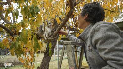 Imagen de ¿Cómo lo hacen?...: Eso sí que es un pez inteligente - 3