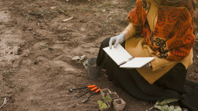 Imagen de Tesoros perdidos de La...: Misterios del Éxodo - 3