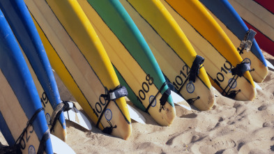 Imagen de Así se hace (T14): Tablas de surf - 3