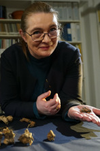 Imagen de Tesoros al descubierto: La última misión de Tut  - 2