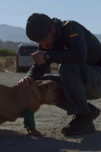 Imagen de Seprona en acción: Ep.5 - 2