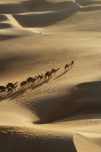 Imagen de Secretos en la arena: Ep.8 - 2