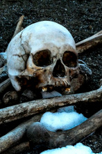 Imagen de Arqueología en el...: La peste de la Edad de Piedra - 2