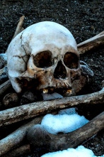 Imagen de Arqueología en el hielo: La Tène - 2