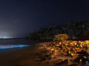 Imagen de Arqueología en la...: El viaje del antiguo rinoceronte - 1