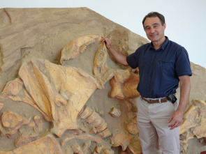 Imagen de Bestias del pasado: Basilosauros - 1
