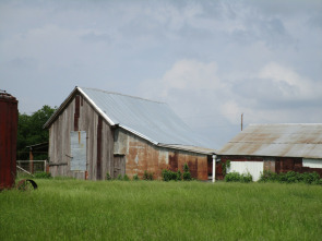 Imagen de Ingeniería abandonada: Estados Unidos  - 1