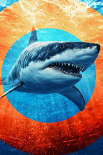 Imagen de Plaga de tiburones (T2): Tiburón: en el ojo de la tormenta - 2