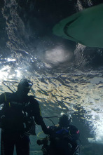Imagen de La invasión del megatiburón - 2