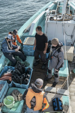 Imagen de Jurassic Sharks - 2