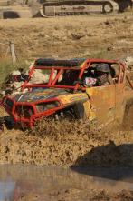 Imagen de Locura sobre ruedas (T1) - 4