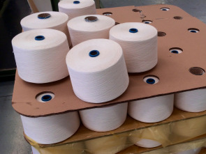 Imagen de ¿Cómo lo hacen?: Coches de carreras y alcohol - 1