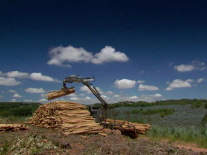 Imagen de ¿Cómo lo hacen?: Ep.5 - 4