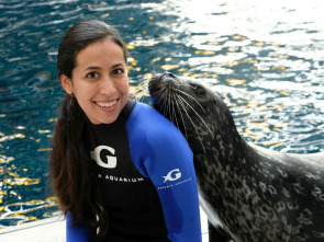 The Aquarium (T1): Rescate de una nutria bebé