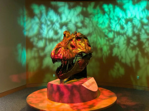 Imagen de Misterios en el museo: Premonición presidencial - 3