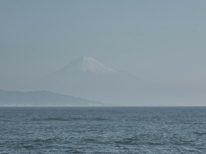Imagen de Jurassic Sharks - 1