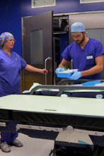 Imagen de Desastres estéticos (T4): Ep.1 - 2