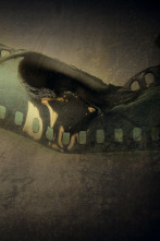 Imagen de Shock Docs  - 2