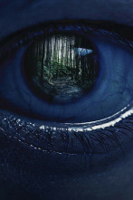 Imagen de Este bosque está...: ¿Intentaba matarme? - 2