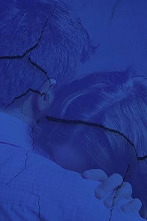 Imagen de The Night That... (T2): Ep.2 Missing Half - 2