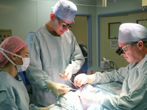 Imagen de Desastres estéticos en el extranjero - 1