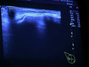 Imagen de Desastres estéticos (T4) - 1