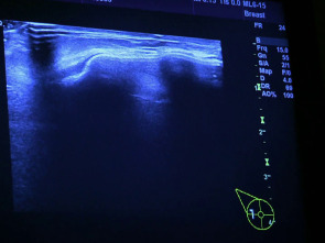 Imagen de Desastres estéticos (T4): Ep.4 - 1