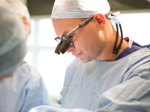 Imagen de Desastres estéticos (T1) - 1