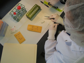 Imagen de Yo fui asesinado  - 1