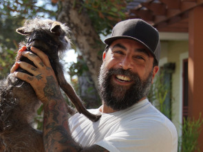 Imagen de Supercasas para... (T2): Un paraíso para chinchillas - 1