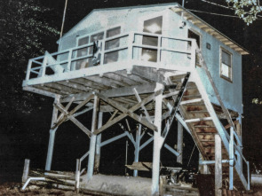 Imagen de Muerte en el bosque (T1) - 1