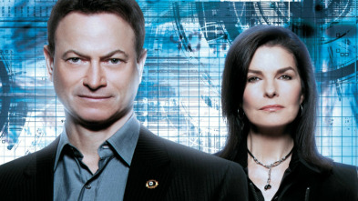 Imagen de C.S.I. Nueva York (T8) - 3