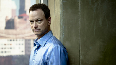 Imagen de C.S.I. NY (T9): Ep.15 Seth y Apep - 3