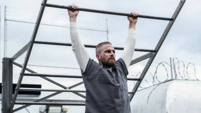 Imagen de Arrow (T7) - 3