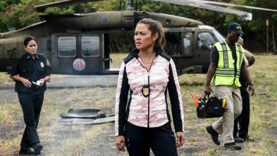 Imagen de NCIS: Hawai'i (T2): Ep.5 Muerte súbita - 3