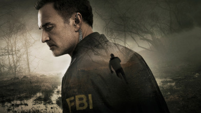 Imagen de FBI: Most Wanted (T4): Ep.8 Apelación - 3