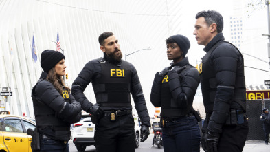 Imagen de FBI (T6): Ep.10 Un asunto de familia - 3
