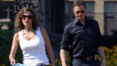 Imagen de C.S.I. Nueva York (T5): Ep.9 El maletero - 3