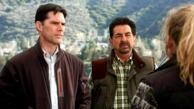 Mentes criminales (T5): Ep.21 Heridas irreparables